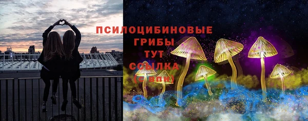соль курить ск Богородск